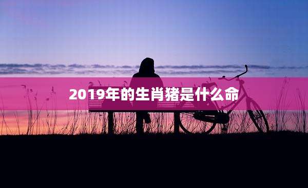 2019年的生肖猪是什么命