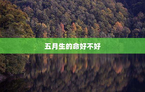 五月生的命好不好