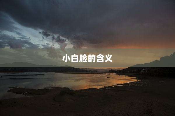 小白脸的含义