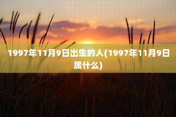 1997年11月9日出生的人(1997年11月9日属什么)