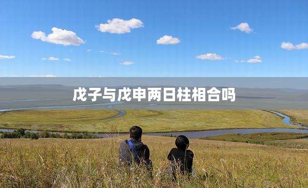 戊子与戊申两日柱相合吗