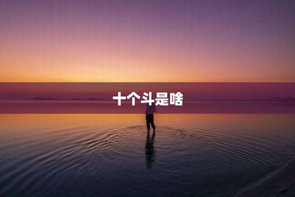 十个斗是啥