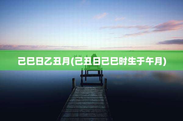 己巳日乙丑月(己丑日己巳时生于午月)