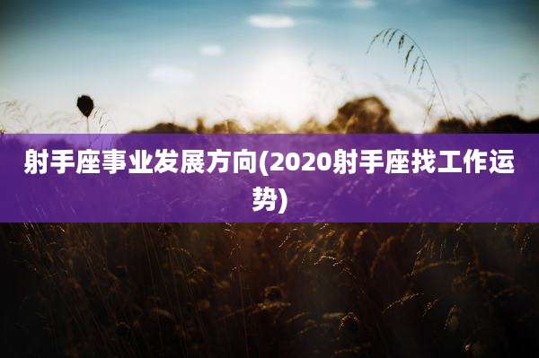 射手座事业发展方向(2020射手座找工作运势)