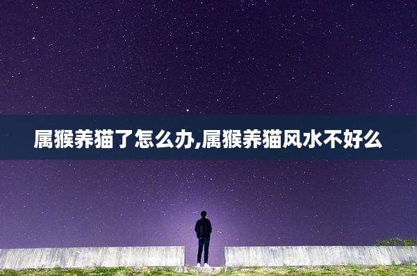 属猴养猫了怎么办,属猴养猫风水不好么
