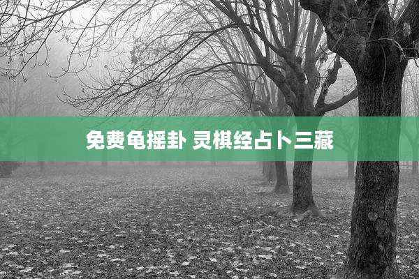 免费龟摇卦 灵棋经占卜三藏