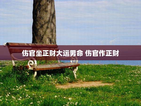 伤官坐正财大运男命 伤官作正财