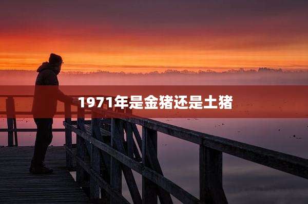 1971年是金猪还是土猪