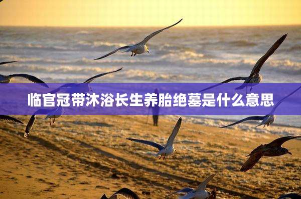 临官冠带沐浴长生养胎绝墓是什么意思