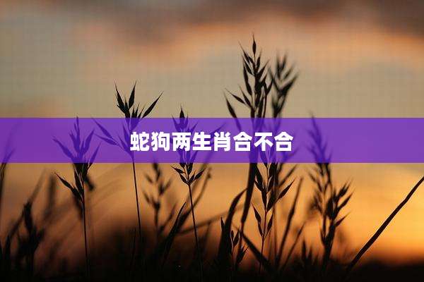 蛇狗两生肖合不合