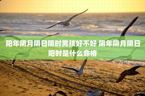 阳年阴月阴日阴时男孩好不好 阴年阴月阴日阳时是什么命格