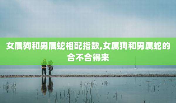 女属狗和男属蛇相配指数,女属狗和男属蛇的合不合得来