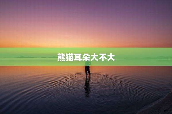 熊猫耳朵大不大