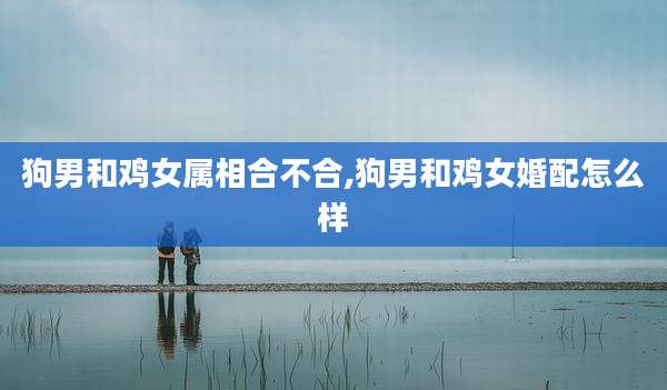狗男和鸡女属相合不合,狗男和鸡女婚配怎么样