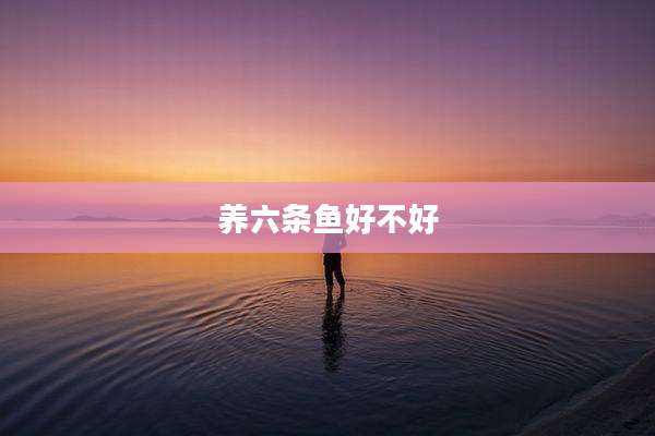 养六条鱼好不好