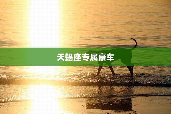 天蝎座专属豪车