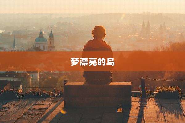 梦漂亮的鸟