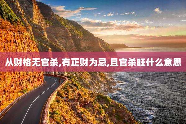 从财格无官杀,有正财为忌,且官杀旺什么意思