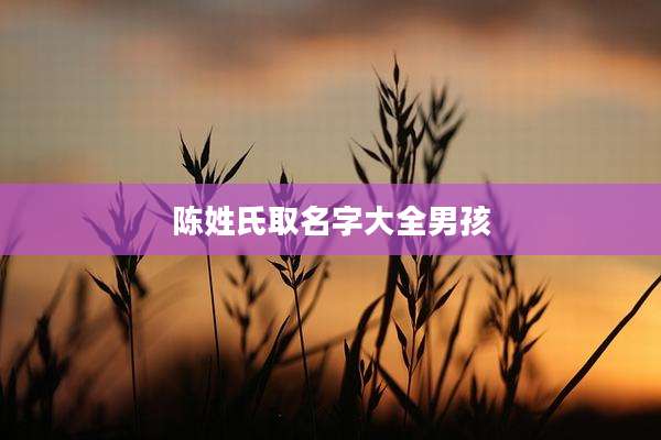 陈姓氏取名字大全男孩