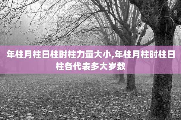 年柱月柱日柱时柱力量大小,年柱月柱时柱日柱各代表多大岁数