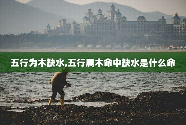 五行为木缺水,五行属木命中缺水是什么命