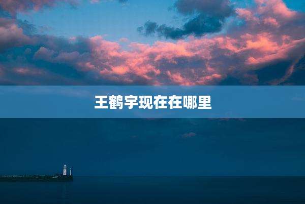 王鹤宇现在在哪里