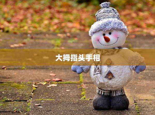 大拇指头手相