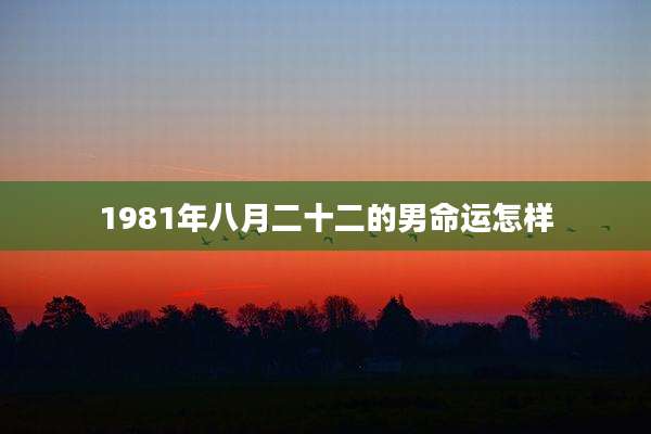 1981年八月二十二的男命运怎样