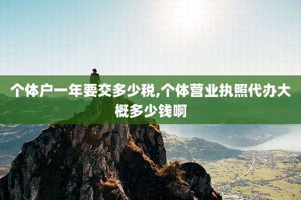 个体户一年要交多少税,个体营业执照代办大概多少钱啊
