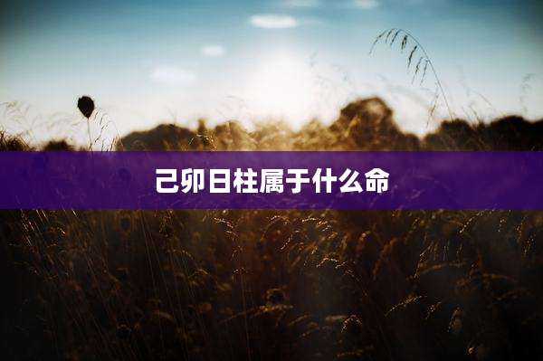 己卯日柱属于什么命