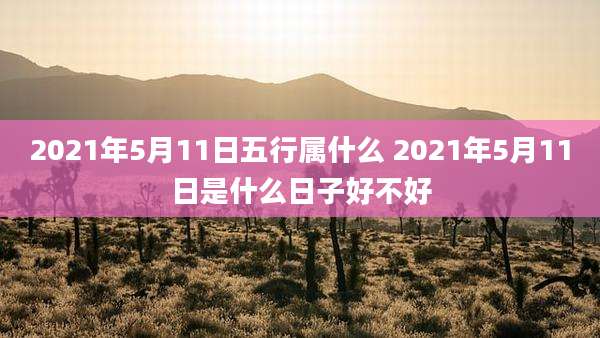 2021年5月11日五行属什么 2021年5月11日是什么日子好不好