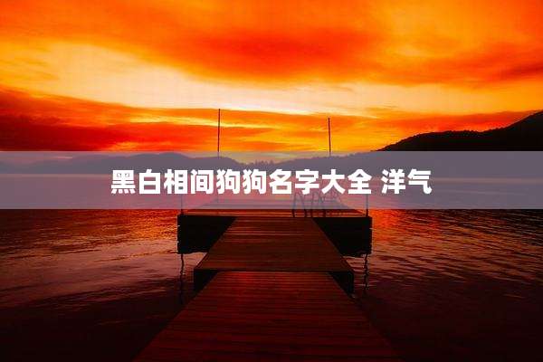 黑白相间狗狗名字大全 洋气