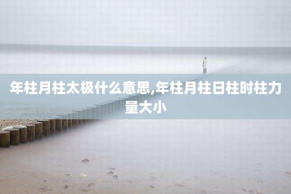 年柱月柱太极什么意思,年柱月柱日柱时柱力量大小