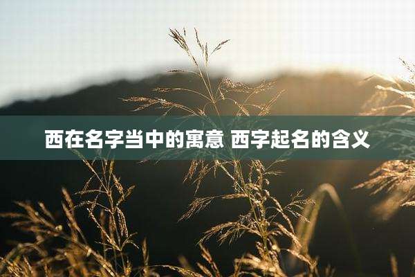 西在名字当中的寓意 西字起名的含义