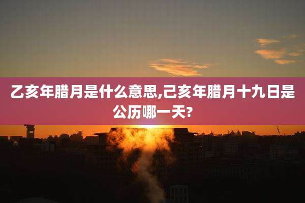 乙亥年腊月是什么意思,己亥年腊月十九日是公历哪一天?