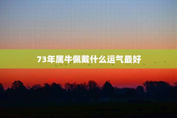 73年属牛佩戴什么运气最好