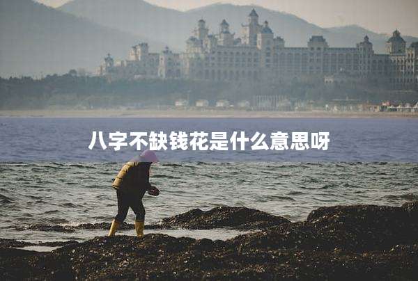 八字不缺钱花是什么意思呀