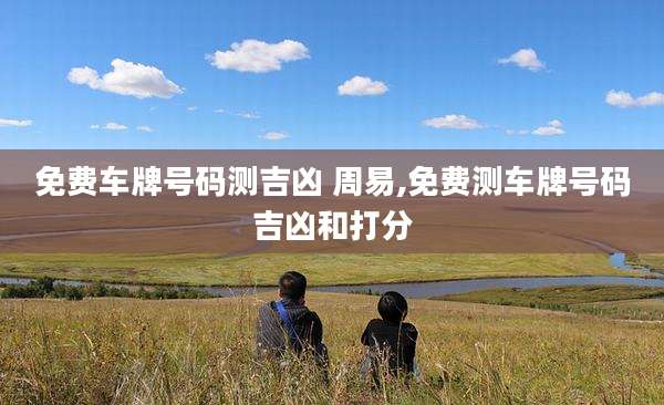 免费车牌号码测吉凶 周易,免费测车牌号码吉凶和打分