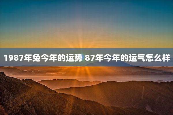 1987年兔今年的运势 87年今年的运气怎么样