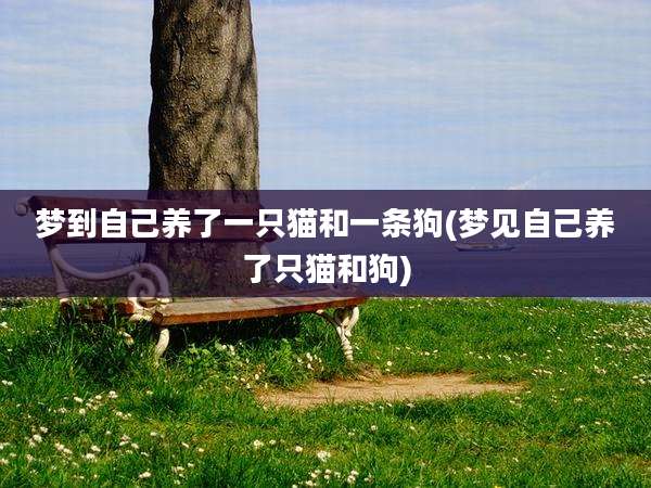 梦到自己养了一只猫和一条狗(梦见自己养了只猫和狗)