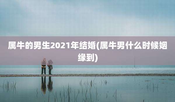 属牛的男生2021年结婚(属牛男什么时候姻缘到)