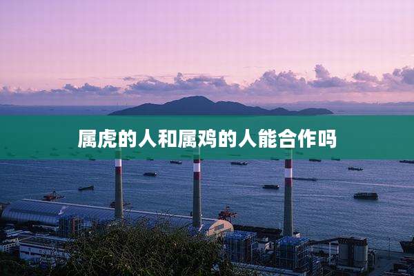 属虎的人和属鸡的人能合作吗