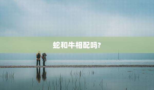 蛇和牛相配吗?