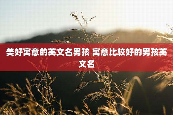 美好寓意的英文名男孩 寓意比较好的男孩英文名