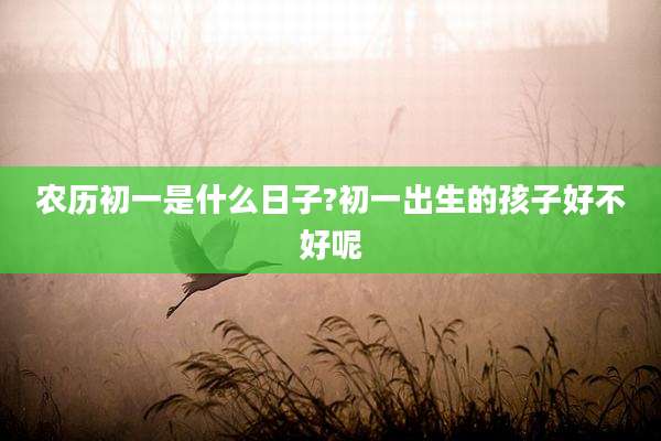 农历初一是什么日子?初一出生的孩子好不好呢