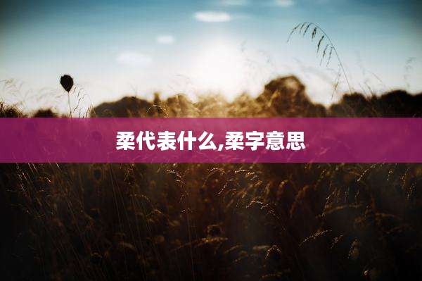 柔代表什么,柔字意思