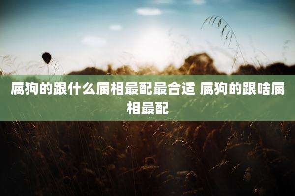 属狗的跟什么属相最配最合适 属狗的跟啥属相最配