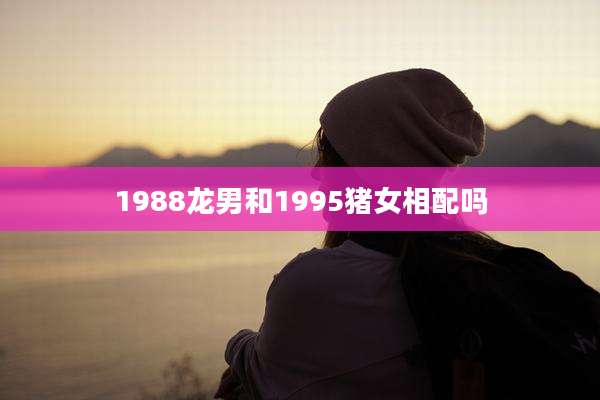 1988龙男和1995猪女相配吗