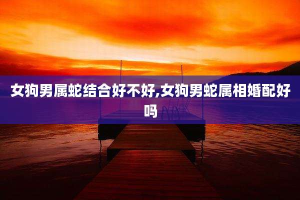 女狗男属蛇结合好不好,女狗男蛇属相婚配好吗