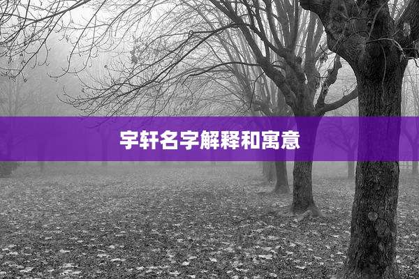 宇轩名字解释和寓意